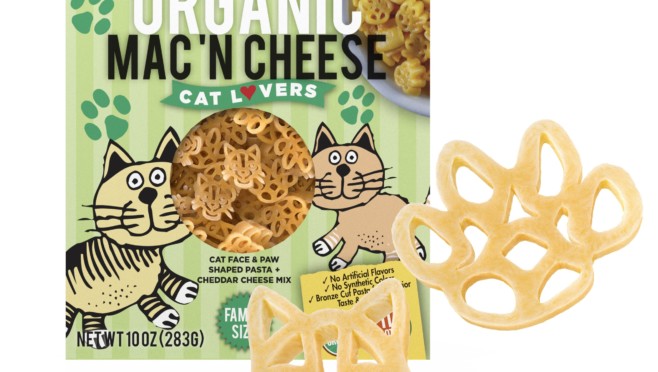 Organic Cat Lovers Pasta Box with pasta pieces