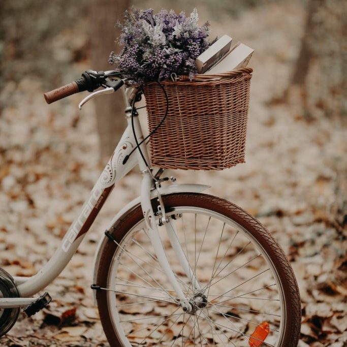 bicycle with flowers in basket