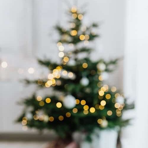 out of focus image of christmas tree